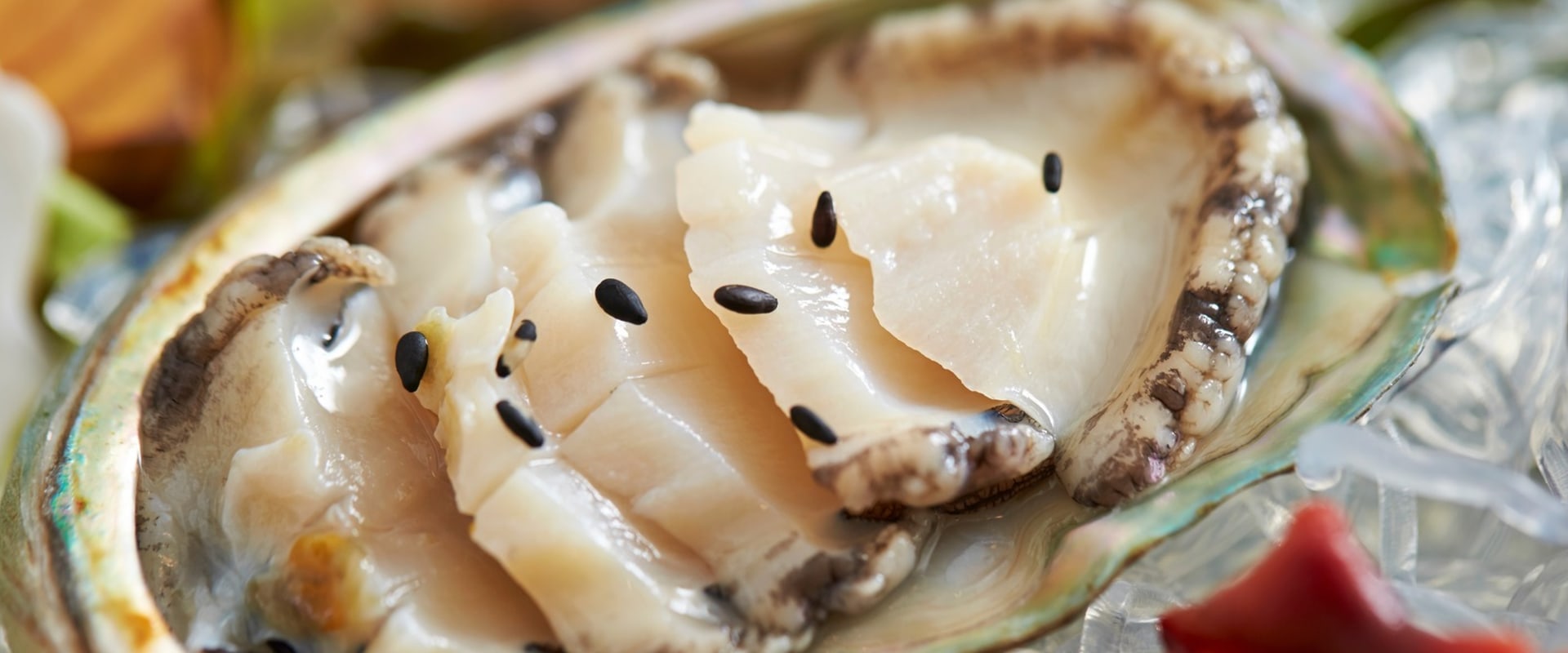 The Fascinating World of Abalone: Types, Characteristics, and Uses