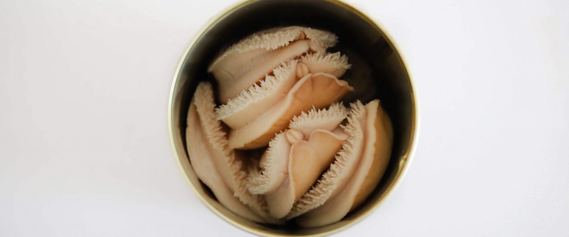 Unlock the Deliciousness of Canned Abalone