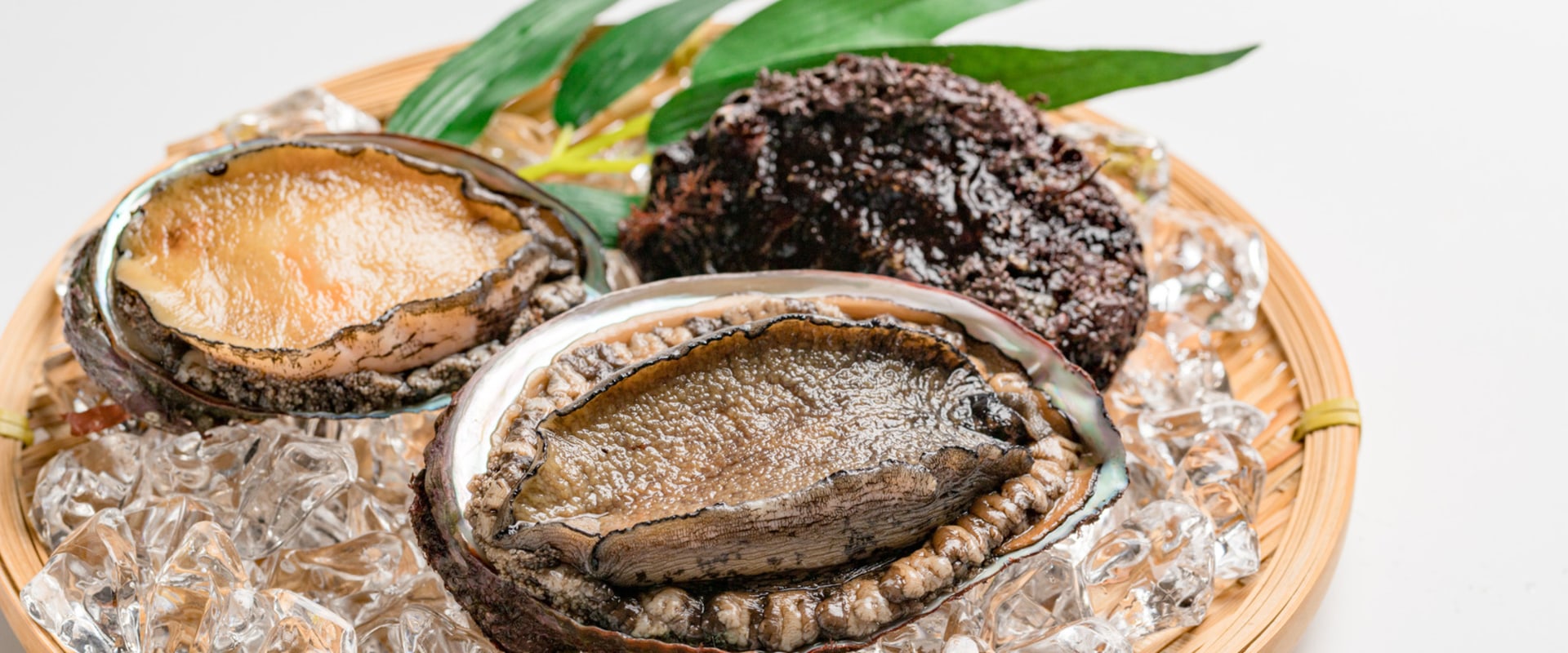 Is abalone really expensive?