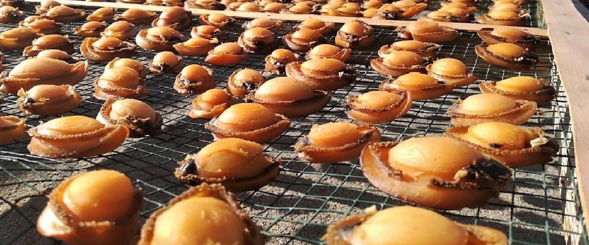 Discover The Finest Canned Abalone and Seafood Delicacy Suppliers in Singapore to shop.