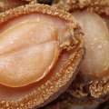 Cooking Canned Abalone: A Delicious and Nutritious Seafood Delight
