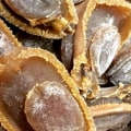 Is canned abalone good?
