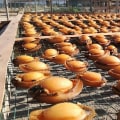 Exploring the Unique Flavor of Chilean Canned Abalone: A Journey to the Depths