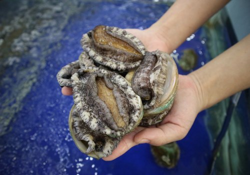 Why Abalones are so Cheap and Canned Abalones are so Expensive in Singapore