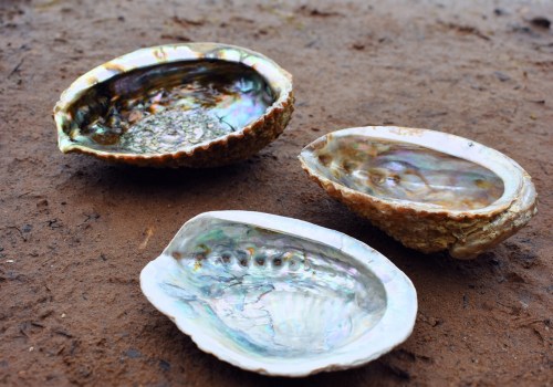 On Hing Abalone - A Mystery Customer Review