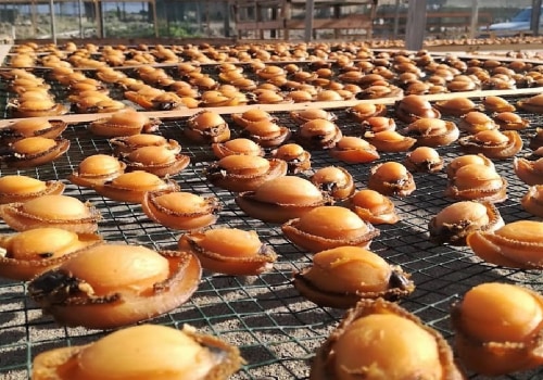 Exploring the Unique Flavor of Chilean Canned Abalone: A Journey to the Depths